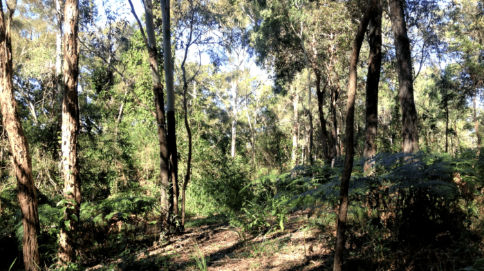 Natura-Pacific-Greens-Road